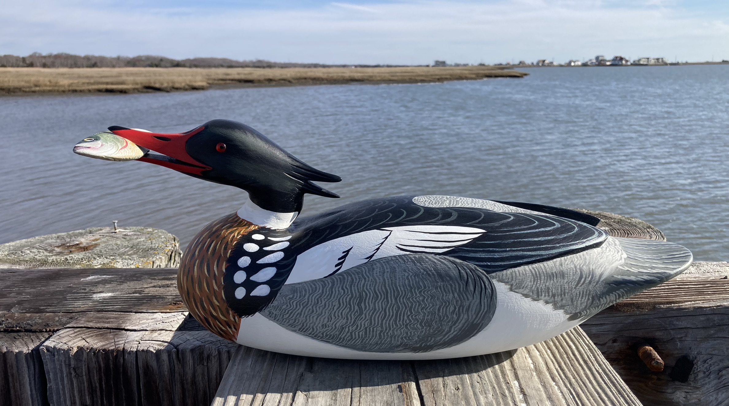 Merganser with Fish